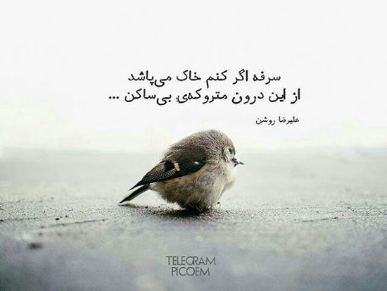 مینی شعر (342)