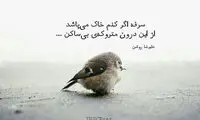 مینی شعر (342)
