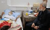 لاریجانی از آیت الله حائری شیرازی عیادت کرد