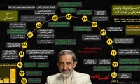دکتر علی اکبر ولایتی با ۳۷ مسئولیت همزمان
