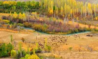 چند پیشنهاد عالی برای پیک‌نیک در اطراف تهران