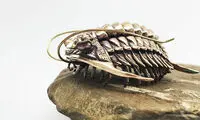 ساخت جانور منقرض شده با پرینتر سه‌‌بعدی