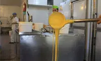 عکس: نحوه پخت زولبیا و بامیه