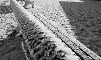 هنرنمایی آب ، باد و سرما!/ عکس