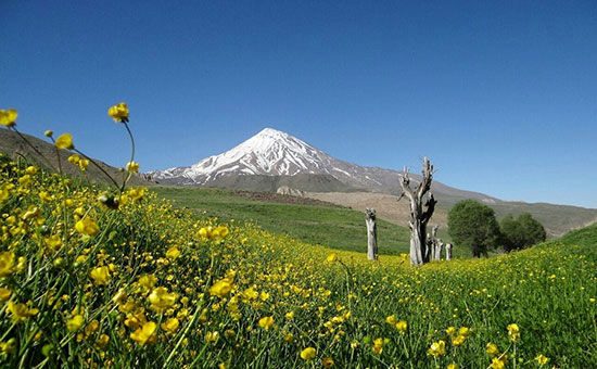 کوه دماوند، مظهر پایداری در ایران