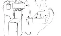 یک طعم دهنده چندش آور! +عکس