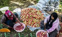 بیمه زنان خانه دار و دختران مجرد چگونه است؟