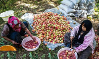 بیمه زنان خانه دار و دختران مجرد چگونه است؟