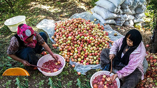 بیمه زنان خانه دار و دختران مجرد چگونه است؟