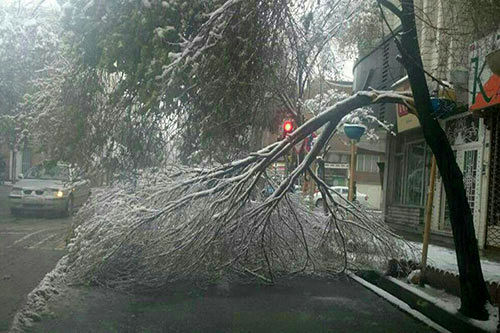 برف بهاری در تبریز حادثه آفرید