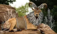 شخصیت بخشیدن به عکس حیوانات با خطوط ساده