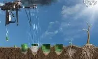 کاشت یک میلیارد درخت در سال!