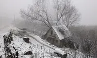 تصاویری از خودنمایی زیبای برف در گیلان!