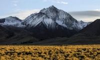 تست بینایی؛ در ۱۰ ثانیه گرگ را پیدا کنید