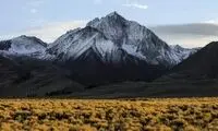 تست بینایی؛ در ۱۰ ثانیه گرگ را پیدا کنید
