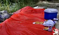 لحظه ای غافل گیر کننده در پیک نیک! +عکس