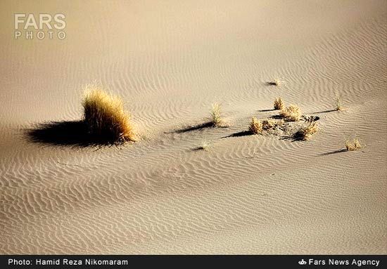 تصاویر: زیبایی های کویر ورزنه