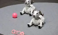 سونی از روبات سگ جدید «Aibo» رونمایی کرد