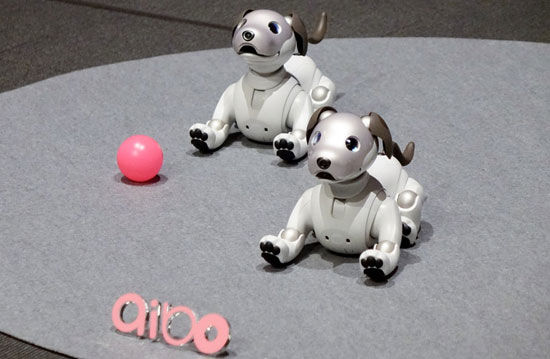 سونی از روبات سگ جدید «Aibo» رونمایی کرد