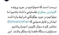 داروغه‌زاده: درباره نوشین جعفری پاسخگو باشند