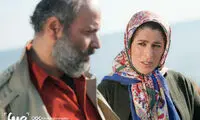 ونداد روشن: اکران «وکیل مدافع» ناگهانی شد
