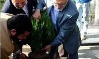 عکس: کاشت نهال توسط مداح جنجالی