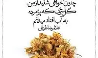 مینی شعر (230)