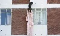 ميمون‌هاي دزد و غارت‌گر! +عکس