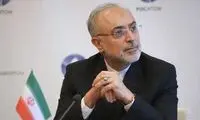 صالحی: احمدی‌نژاد مخالف مذاکره با آمریکا بود