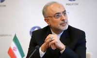 صالحی: احمدی‌نژاد مخالف مذاکره با آمریکا بود