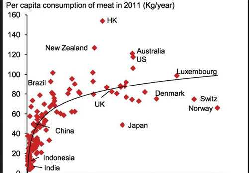 مردم کدام کشورها بیشتر گوشت می خورند؟