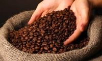 سقف ارزی جدید برای واردات قهوه اعلام شد