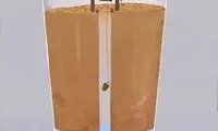 کارتون؛ وضعیت بحرانی آبرسانی در خوزستان!