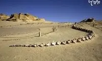 اولین موزه فسیل شرق میانه در مصر