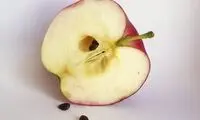 اثر معجزه‌آسای خوردن هسته سیب