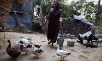 این زنان حرف نمی‌زنند!