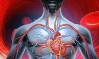 ۵ گزینه طبیعی برای بهبود گردش خون