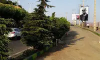 عکس: یک روز پس از خاکسپاری کیارستمی