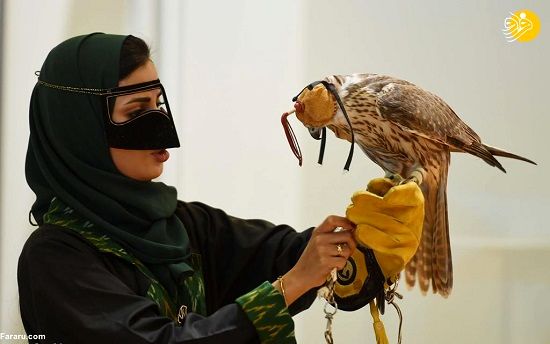 علاقه زنان عربستانی به شاهین شکاری