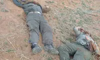 دو محیط‌بان زنجانی شهید شدند