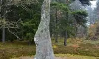 این تخته‌سنگ عجیب یک «نفرین» ۱۷۰۰ ساله است!