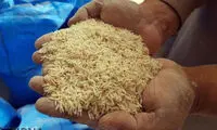 قیمت برنج و سیب‌زمینی از دسترس خارج شد