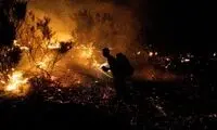 تصاویری از آتش‌سوزی در پارک ملی کرخه