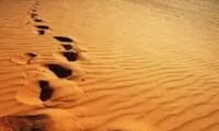 زیباست اما راه رفتن را دشوار می‌کند!