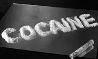 سوزاندن ٢ تن کوکائین به ارزش ٤٥٠ میلیون یورو