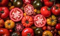 خوردن گوجه فرنگی برای این افراد ضرر دارد