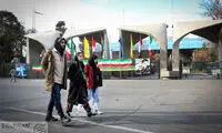 سهم مردان و زنان دانشگاه رفته از بازار کار ایران