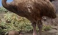 اختلاف اندازه حیوانات ماقبل تاریخ با مدل امروزی
