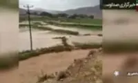 فردا در کدام مناطق بارندگی خواهیم داشت؟