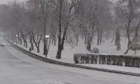 تصویری جالب از شب برفی تهران